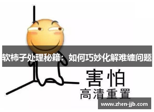 软柿子处理秘籍：如何巧妙化解难缠问题