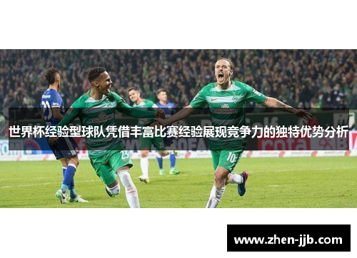 世界杯经验型球队凭借丰富比赛经验展现竞争力的独特优势分析