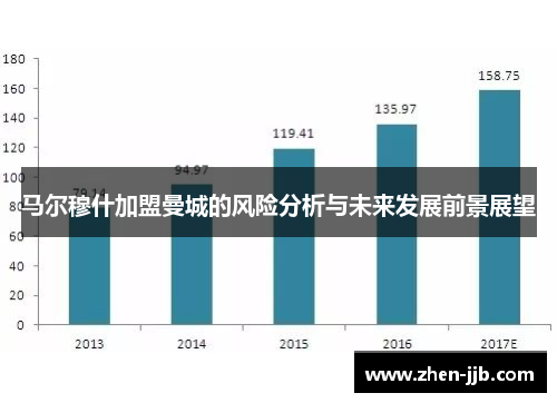 马尔穆什加盟曼城的风险分析与未来发展前景展望