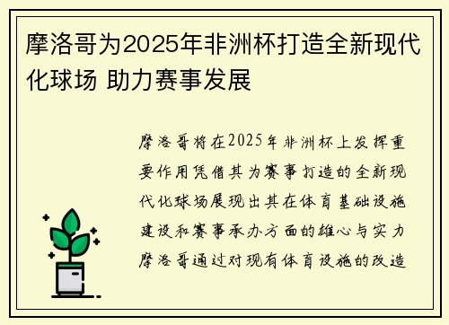 摩洛哥为2025年非洲杯打造全新现代化球场 助力赛事发展