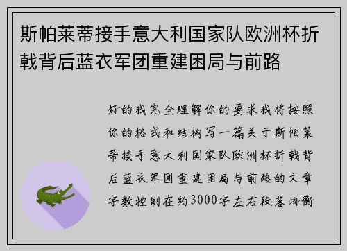 斯帕莱蒂接手意大利国家队欧洲杯折戟背后蓝衣军团重建困局与前路