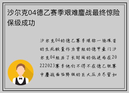沙尔克04德乙赛季艰难鏖战最终惊险保级成功